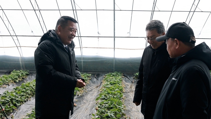 冬閑變農忙，服務暖棚間 公主嶺農技人員為現代農業“把脈問診”